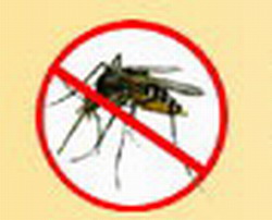 Use in Cuba for Fight Dengue Mosquito New Product, Patented by LABIOFAM Laboratories