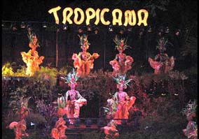 Tropicana