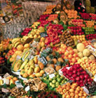 Cuba: Concrete Actions to Counteract Rocketing Food Prices
