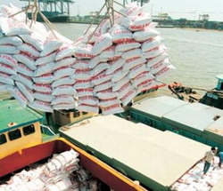 Cuba will Replace 29 Percent of Rice Imports in 2009