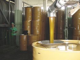 Cuban Beekepers Increase Honey Production