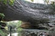 En Cuba Cuenta Holguin con areas naturales protegidas en materia de flora y fauna