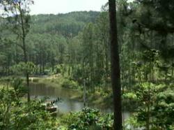Cuba: Regional Conference on Protected Areas Underway Cuba: Regional Conference on Protected Areas Underway