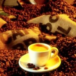 The Coffee Road in Eastern Cuba