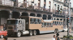 Camel, cuban transport