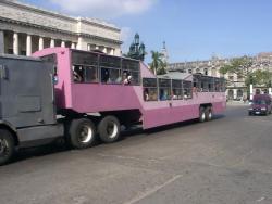 Havana Bus (Camello)