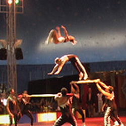 Circuba 2008 takes place during the 40th anniversary of the founding of the National Circus