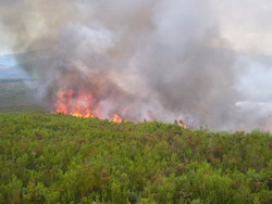 Cuba Increases Forest Fire Control