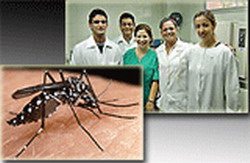 Hondurans Studying in Cuba Ready to Fight Dengue in their Country