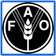 The general director of the FAO visit to Cuba