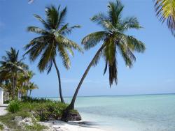 Cayo Coco: paradise hotels to the center and north of Cuba