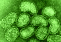 Cuba confirmed its fifth case of Influenza A H1N1 on June 6 in Canadian Tourist