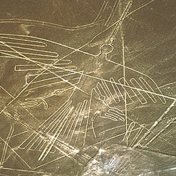 A Cuban Nazca