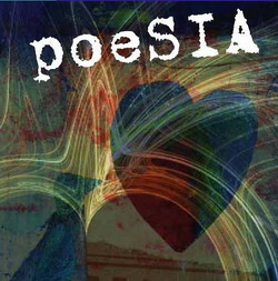 95 poets from all five continents will assist to the 13th Havana International Poetry Festival in Cuba
