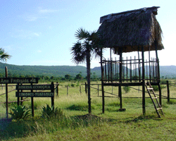 Limones Tuabaquey a New Protected Area in Camaguey Cuba