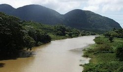 Exclusive specimens and shelters more than 160 flora species, of Cuban flora in Sabanalamar Reserve  