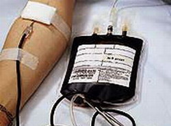 A cuban family of blood donors