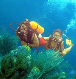 Scuba Diving in Cuba