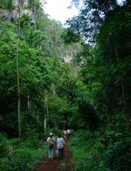 Cubas earliest roads stand in Camagüey