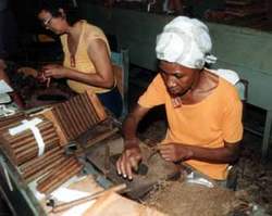 Tobacco Workers Day, taking place in Pinar del Rio, Cuba