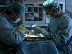 In Cuba Holguin Province Advances in Kidney transplants