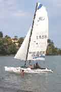 velero deporte