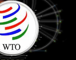 Cuba Addresses WTO Council on Crisis